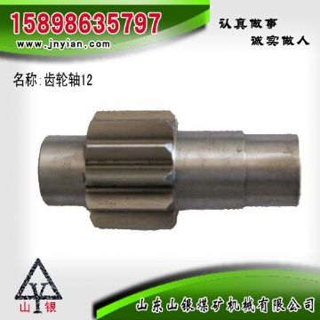 點擊查看詳細信息<br>標題：齒輪軸12 江陰系列配件 閱讀次數(shù)：1945