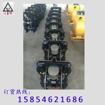 點(diǎn)擊查看詳細(xì)信息<br>標(biāo)題：氣動(dòng)隔膜泵 閱讀次數(shù)：1596