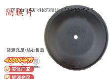 點擊查看詳細信息<br>標題：氣動隔膜泵配件-隔膜片 閱讀次數(shù)：158