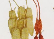 點(diǎn)擊查看詳細(xì)信息<br>標(biāo)題：取氣樣球膽 閱讀次數(shù)：55